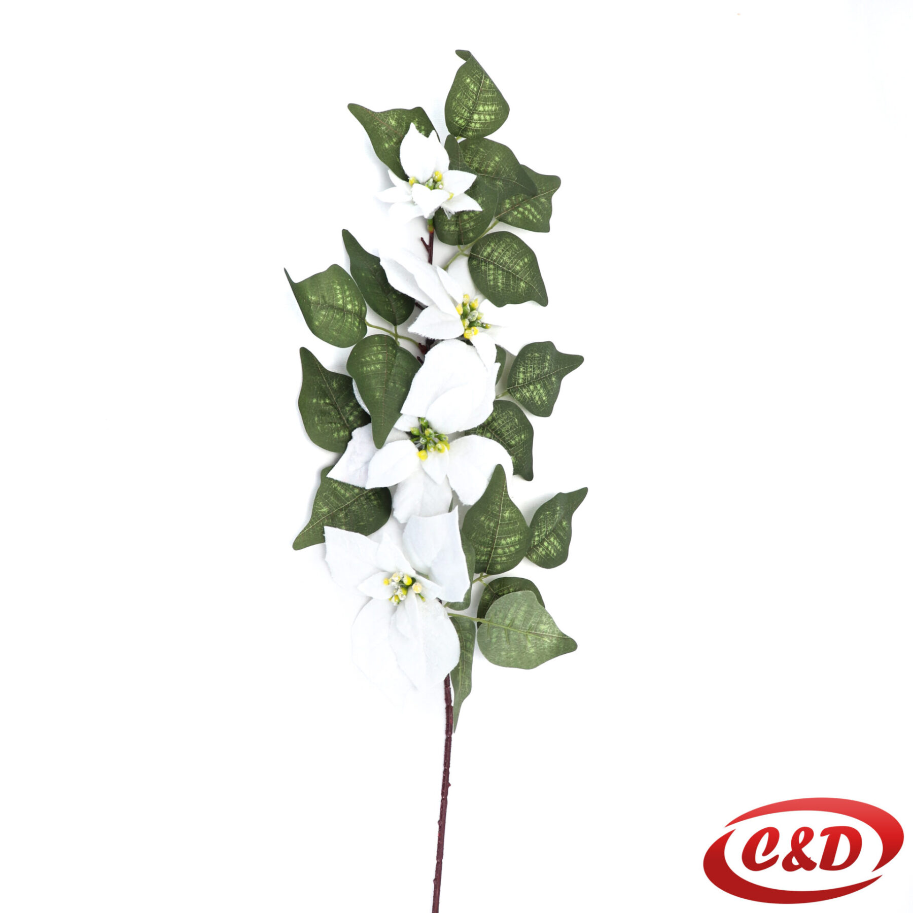 Dekorativno cvijeće - Slika 30