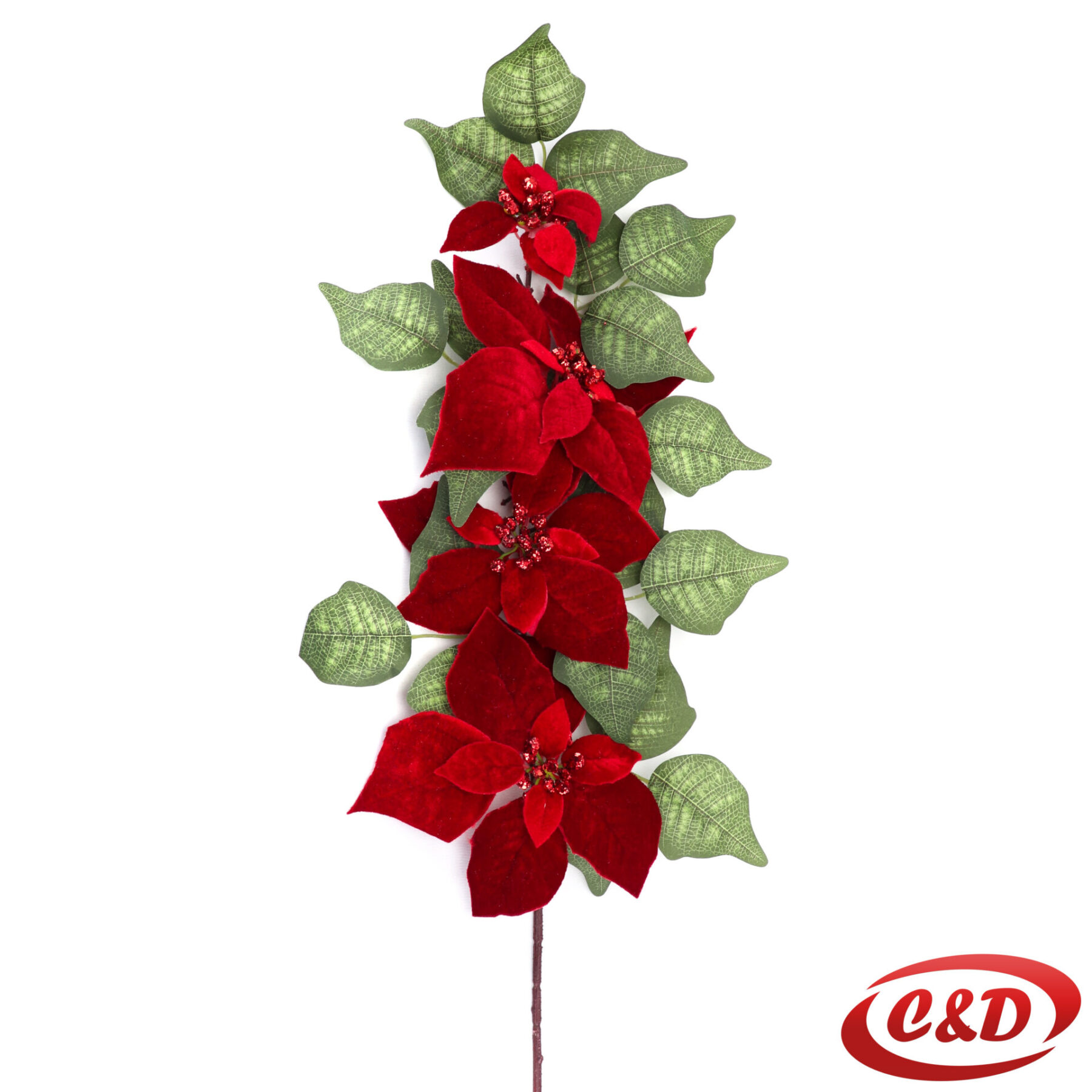 Dekorativno cvijeće - Slika 31