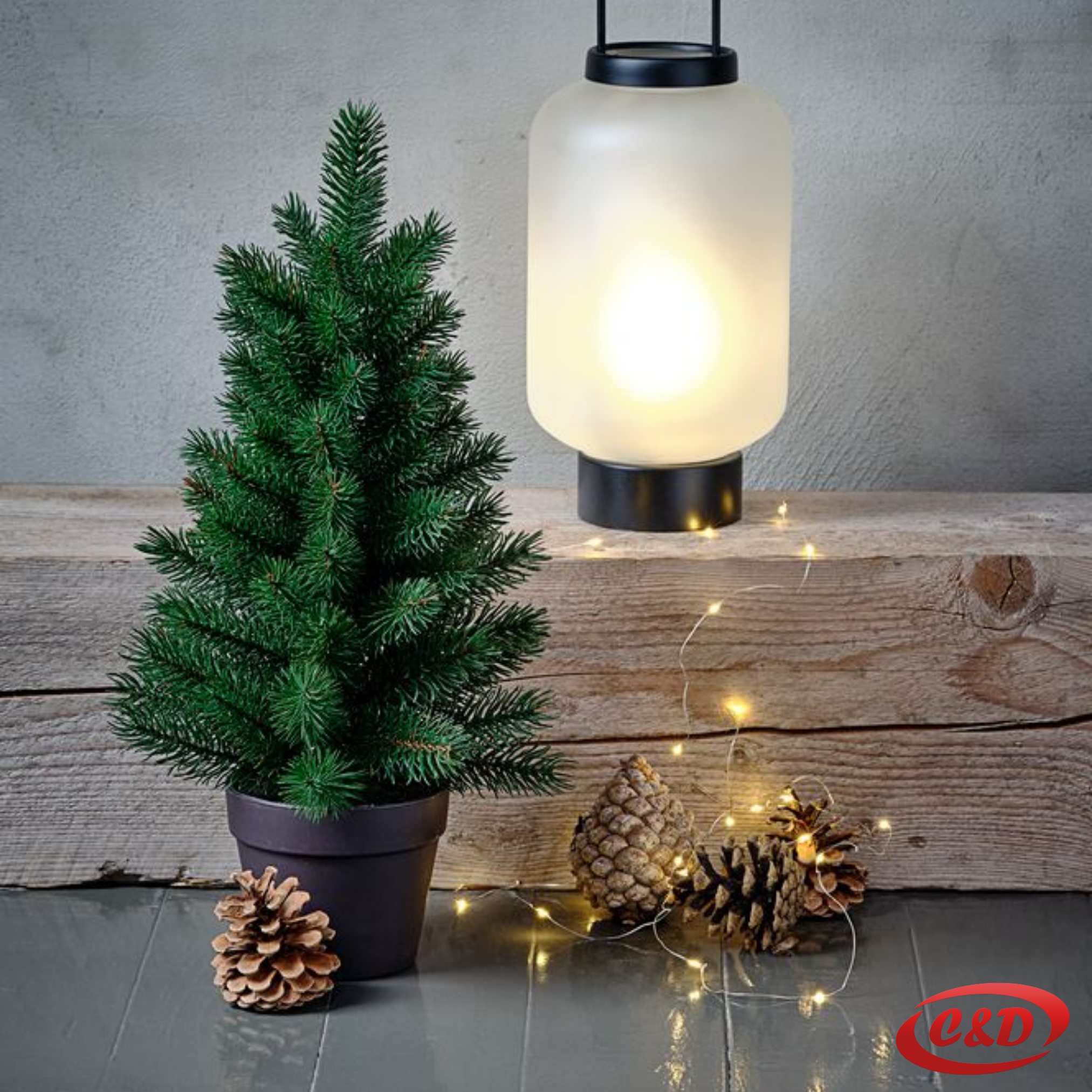 Jelka; 50 cm - Slika 2