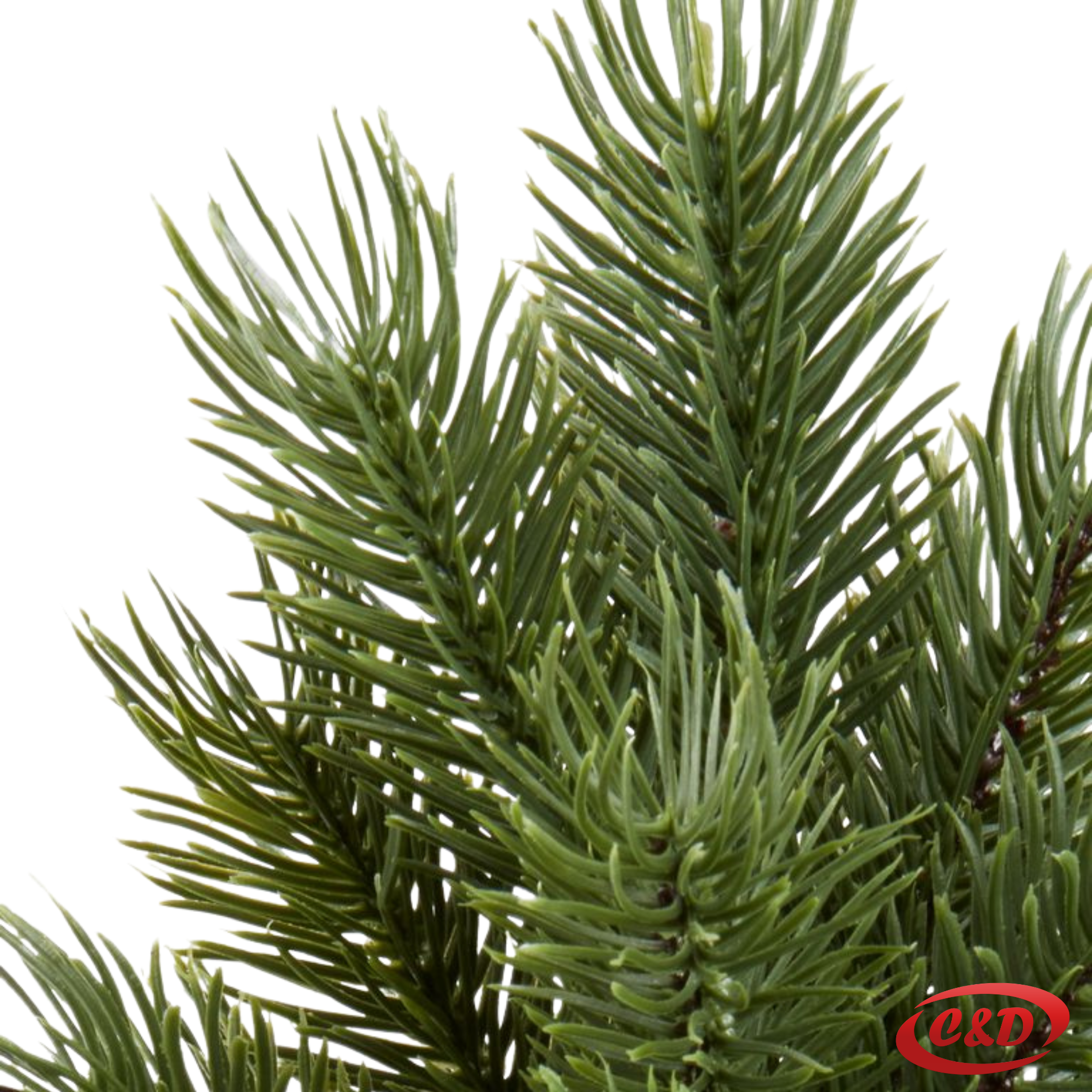 Jelka; 50 cm - Slika 5