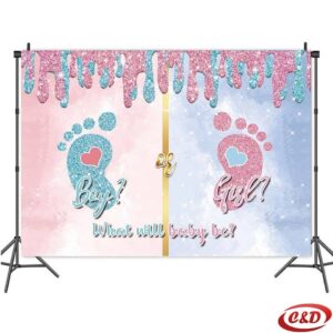 Party baner; Boy or Girl