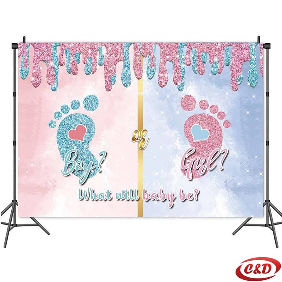 Party baner; Boy or Girl - Slika 2