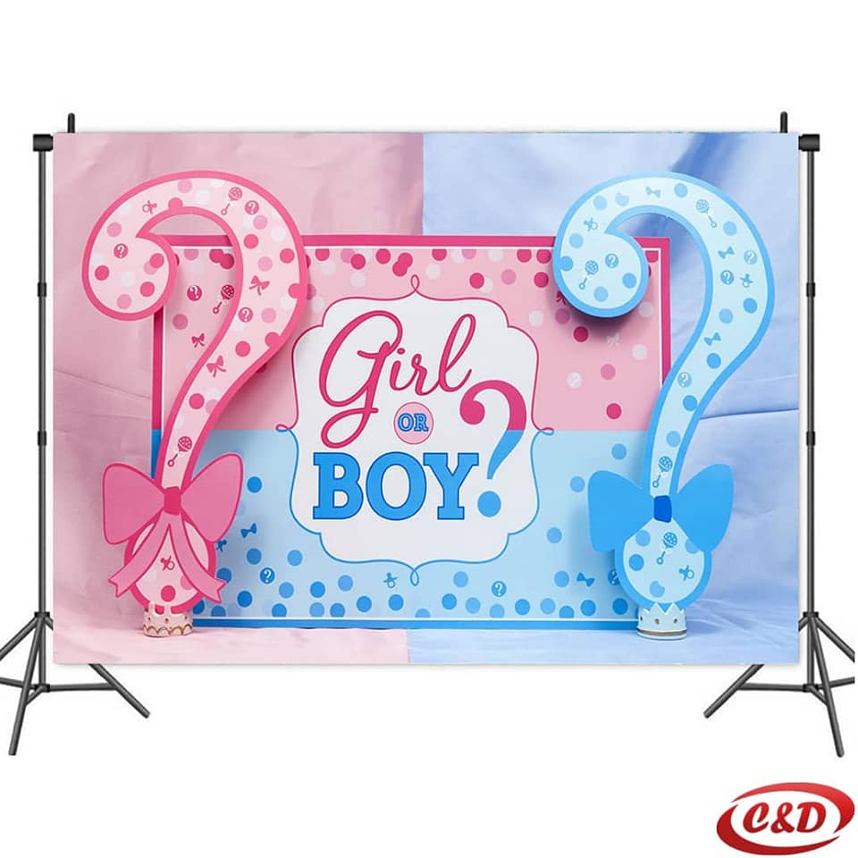 Party baner; Boy or Girl