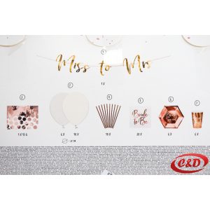 Party set; Bride to be