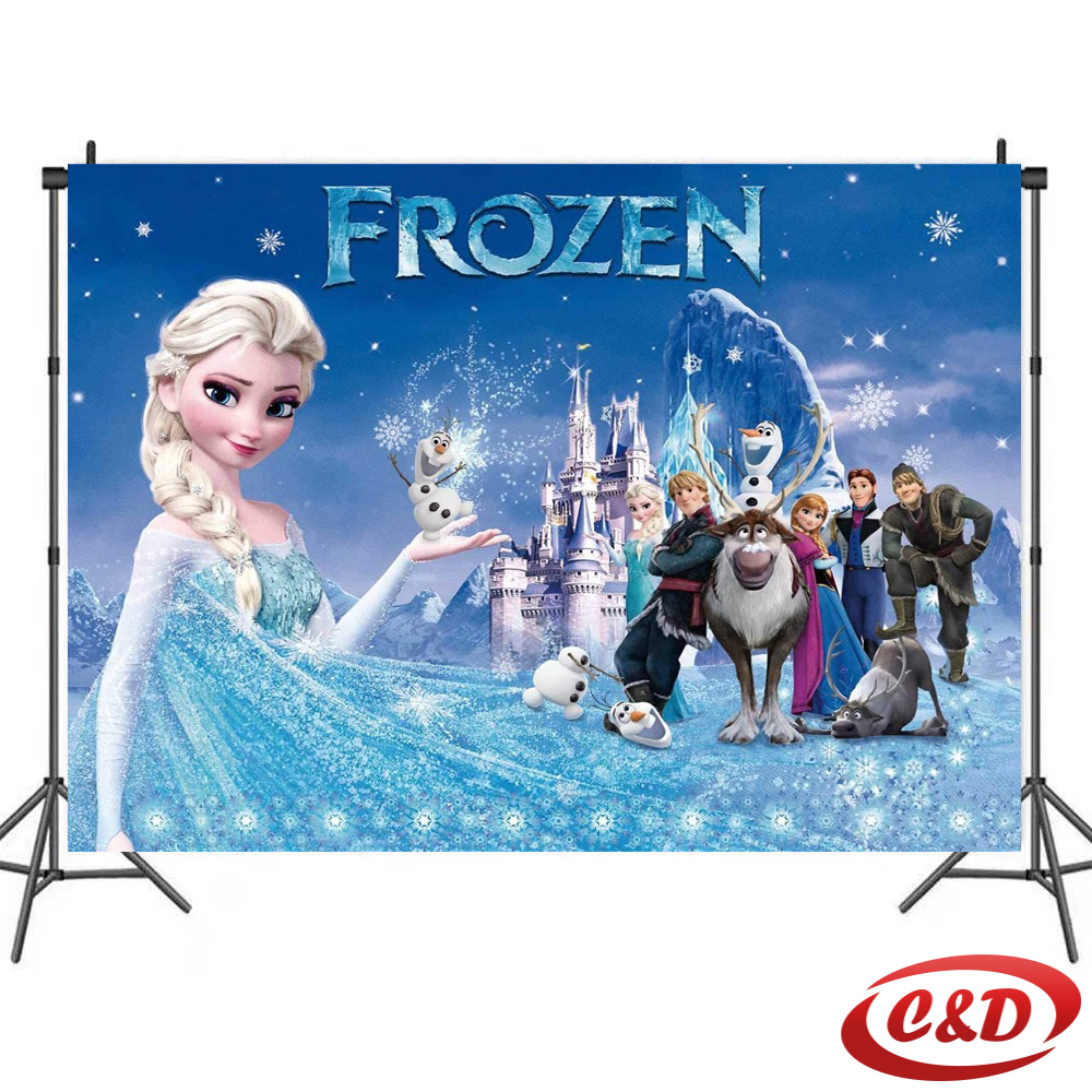 Party baner; Frozen