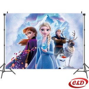 Party baner; Frozen