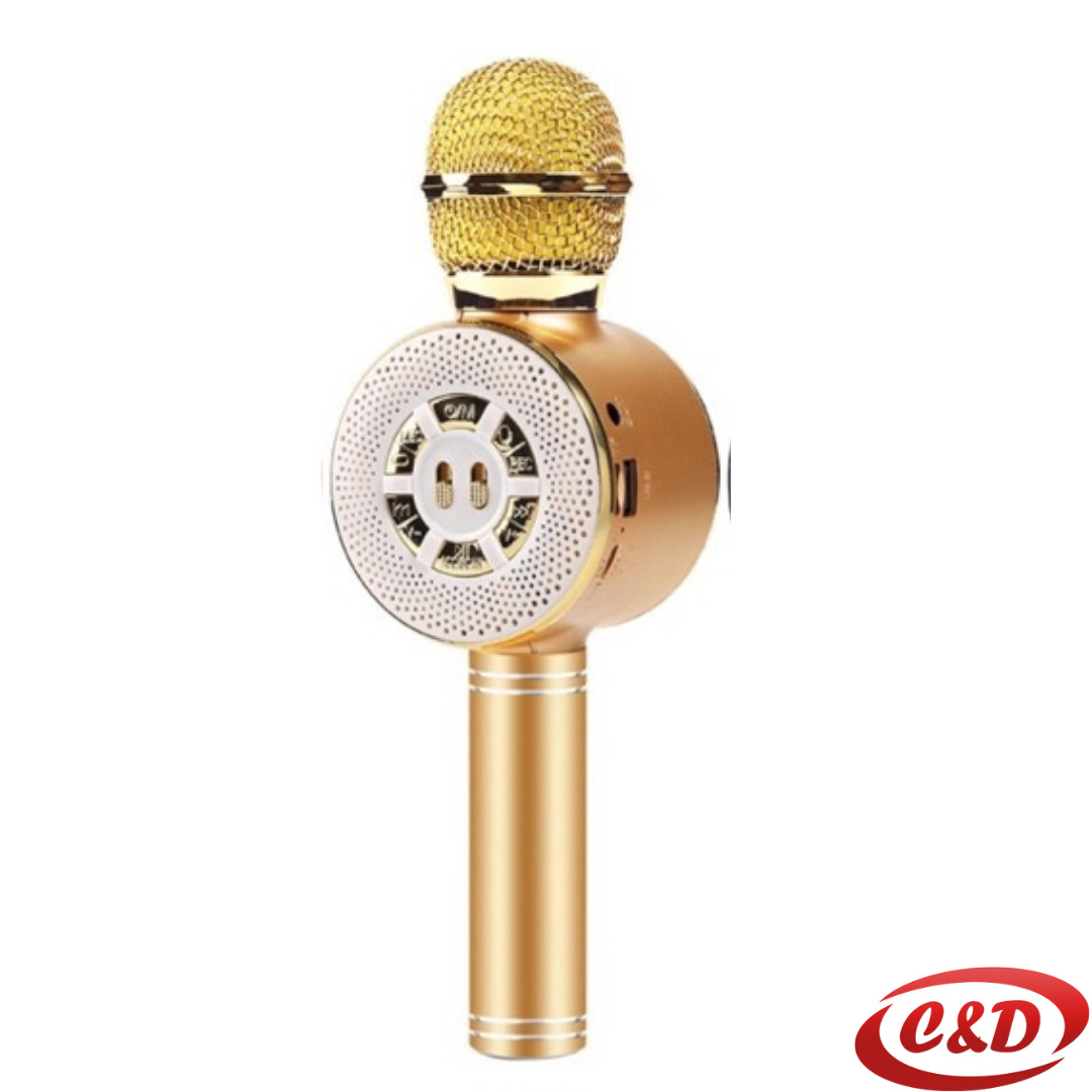 Mikrofon; WS-669; Bluetooth