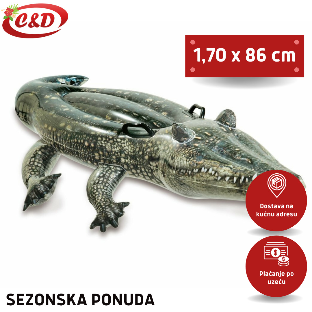 INTEX Krokodil; 170 x 86 cm - Slika 2