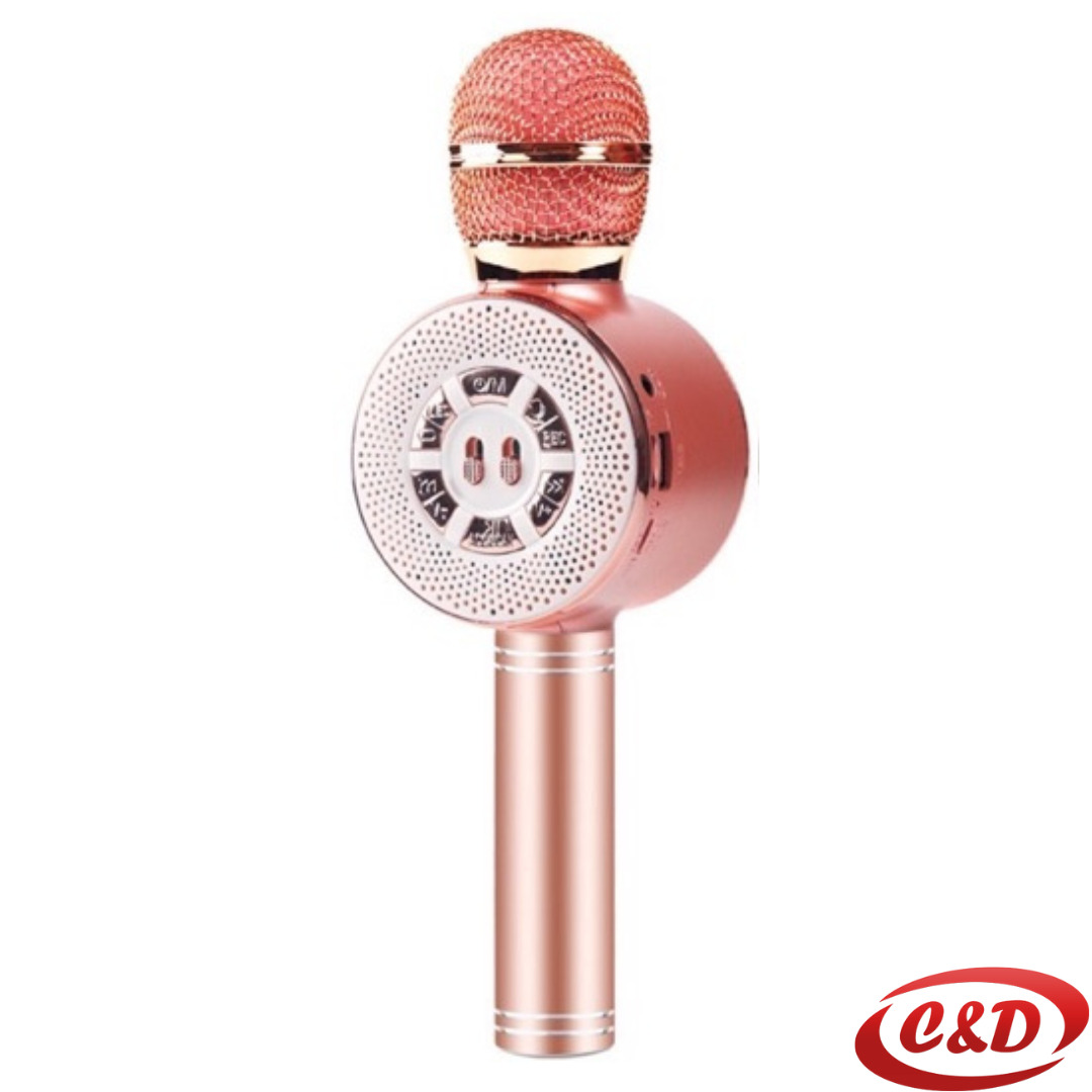 Mikrofon; WS-669; Bluetooth