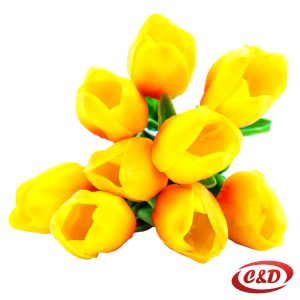 Tulipan 1 komad