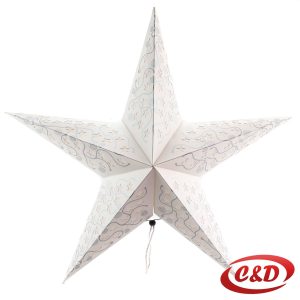Novogodišnja zvijezda