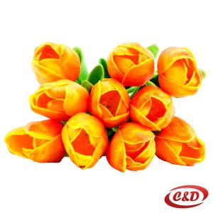 Tulipan 1 komad