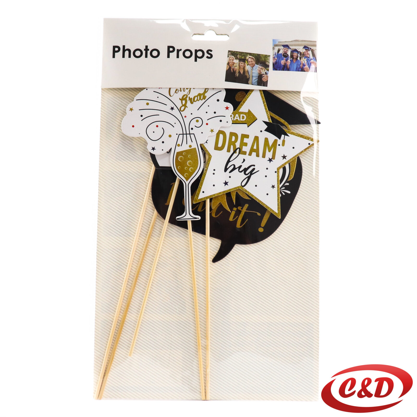 Rekviziti za slikanje; Diploma - Slika 2