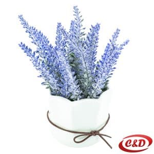 Dekorativna lavanda