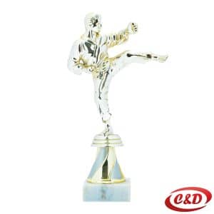 Zlatni pehar za taekwondo 21 cm sa figurom borca