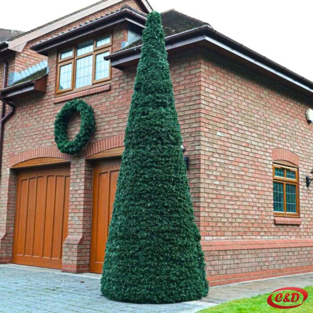 Jelka; 8 m - Slika 3