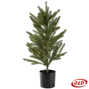 Svjetleće drvce; FROST